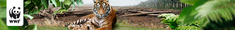 Spenden für den WWF!